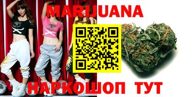 мдпв Новозыбков