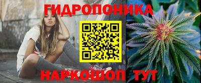 мдпв Новодвинск