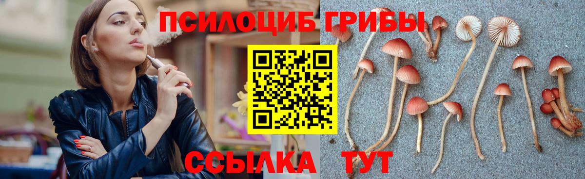 даркнет сайт  Галлюциногенные грибы Psilocybe  Вход с VPN  Татарск 